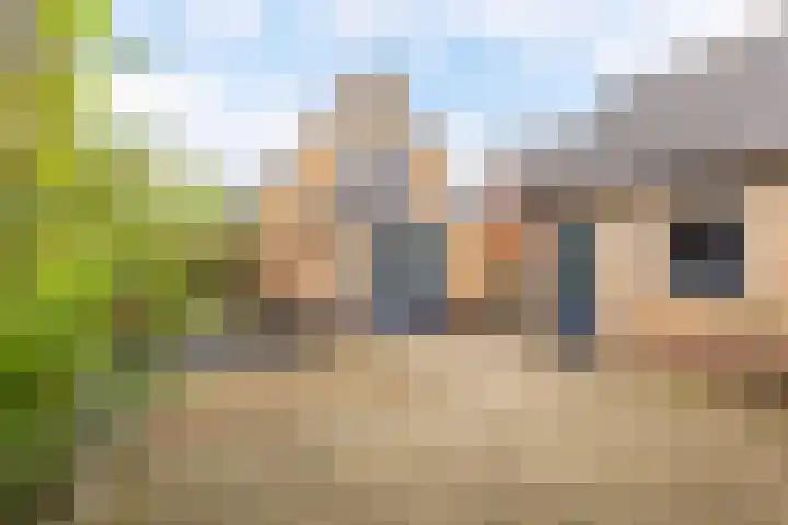 Bjirkewei 28 A Twijzelerheide thumbnail 29