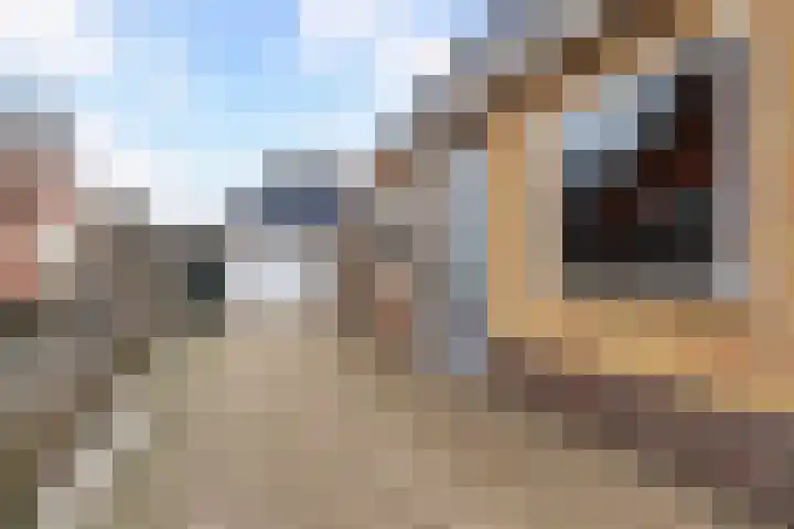 Bjirkewei 28 A Twijzelerheide thumbnail 31