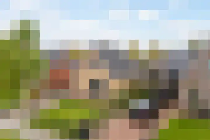 Bjirkewei 28 A Twijzelerheide thumbnail 34