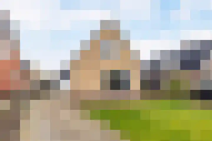 Bjirkewei 28 A Twijzelerheide thumbnail 4