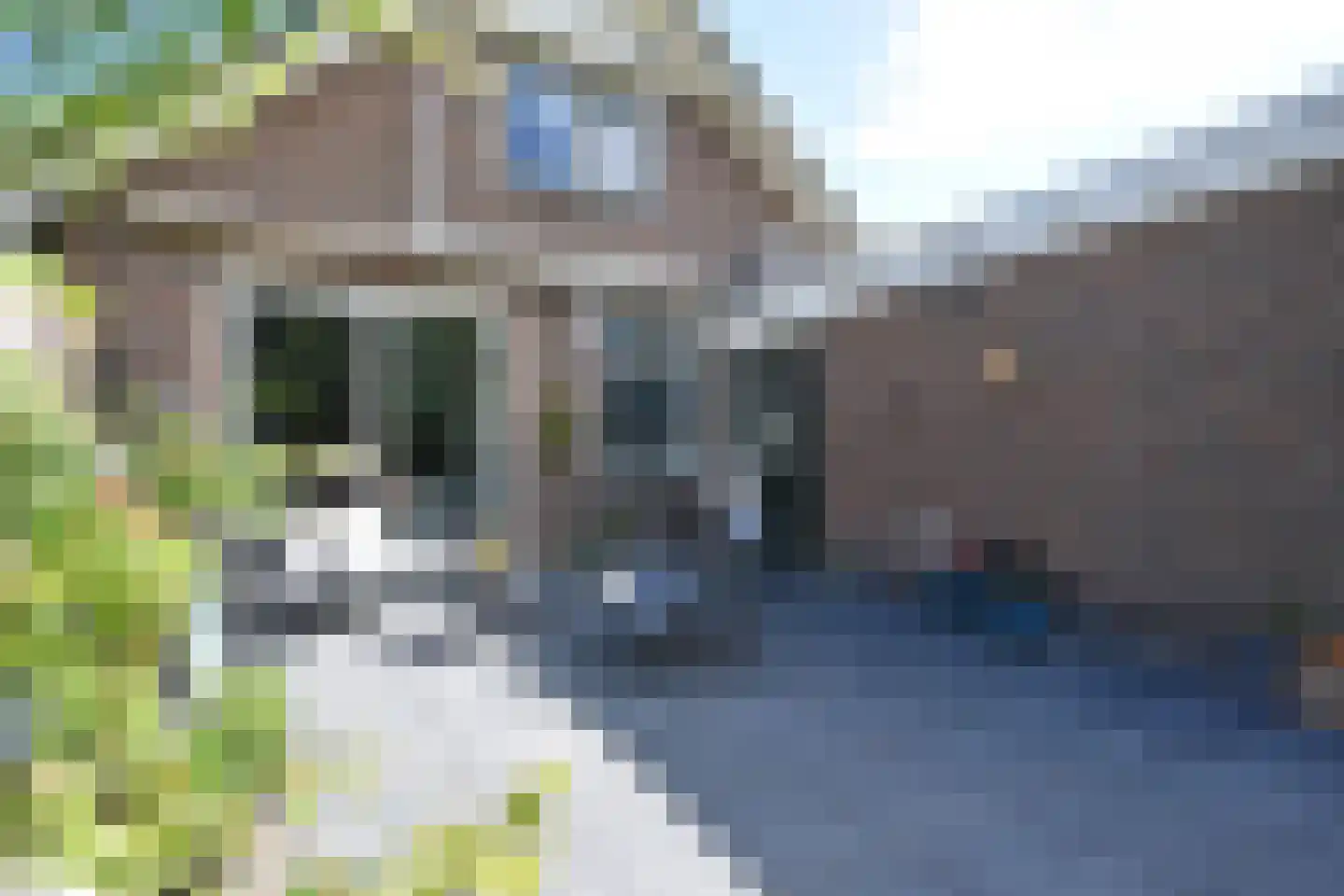 Bjirkewei 95 Twijzelerheide thumbnail 15