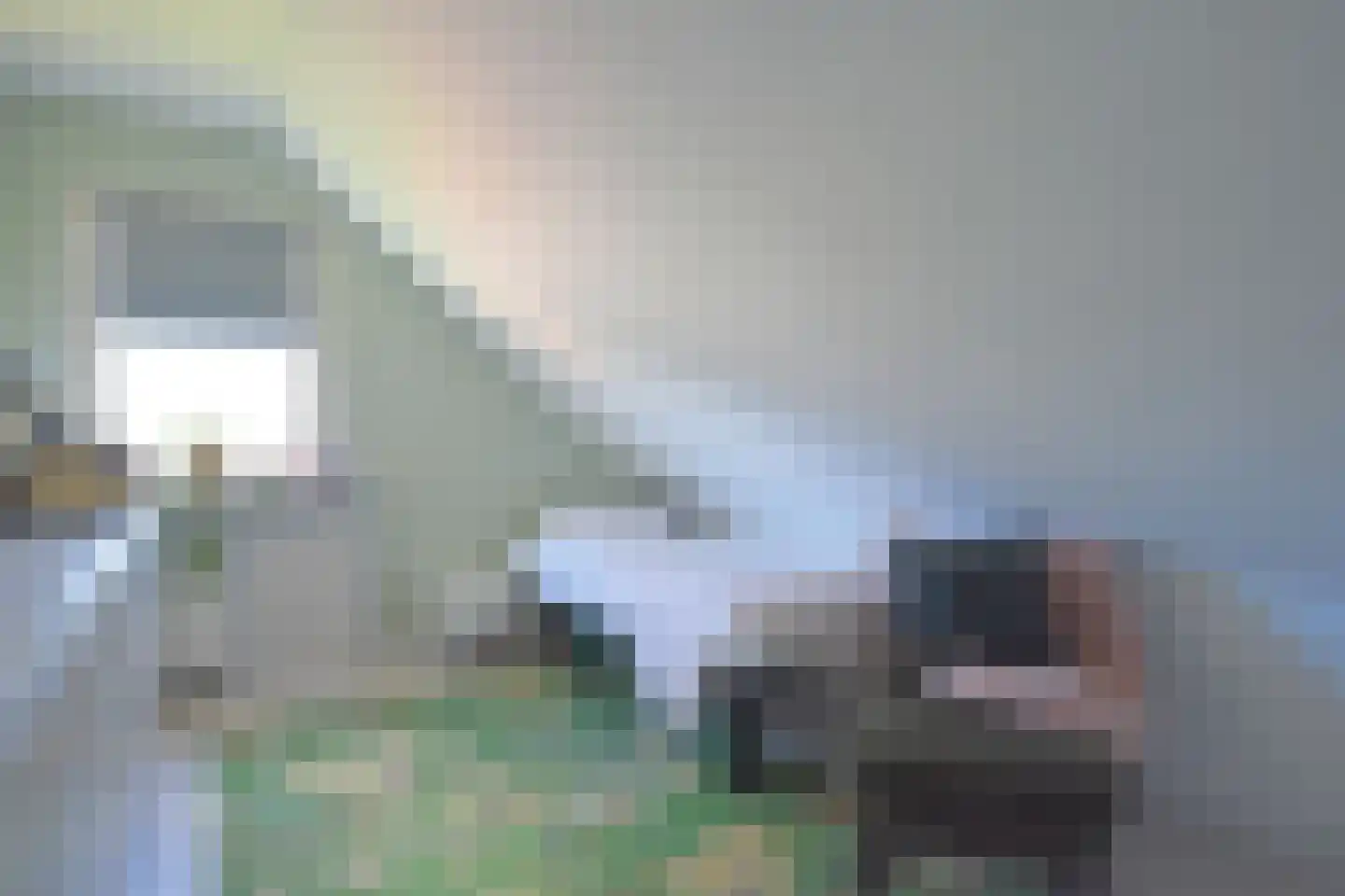Bjirkewei 95 Twijzelerheide thumbnail 40