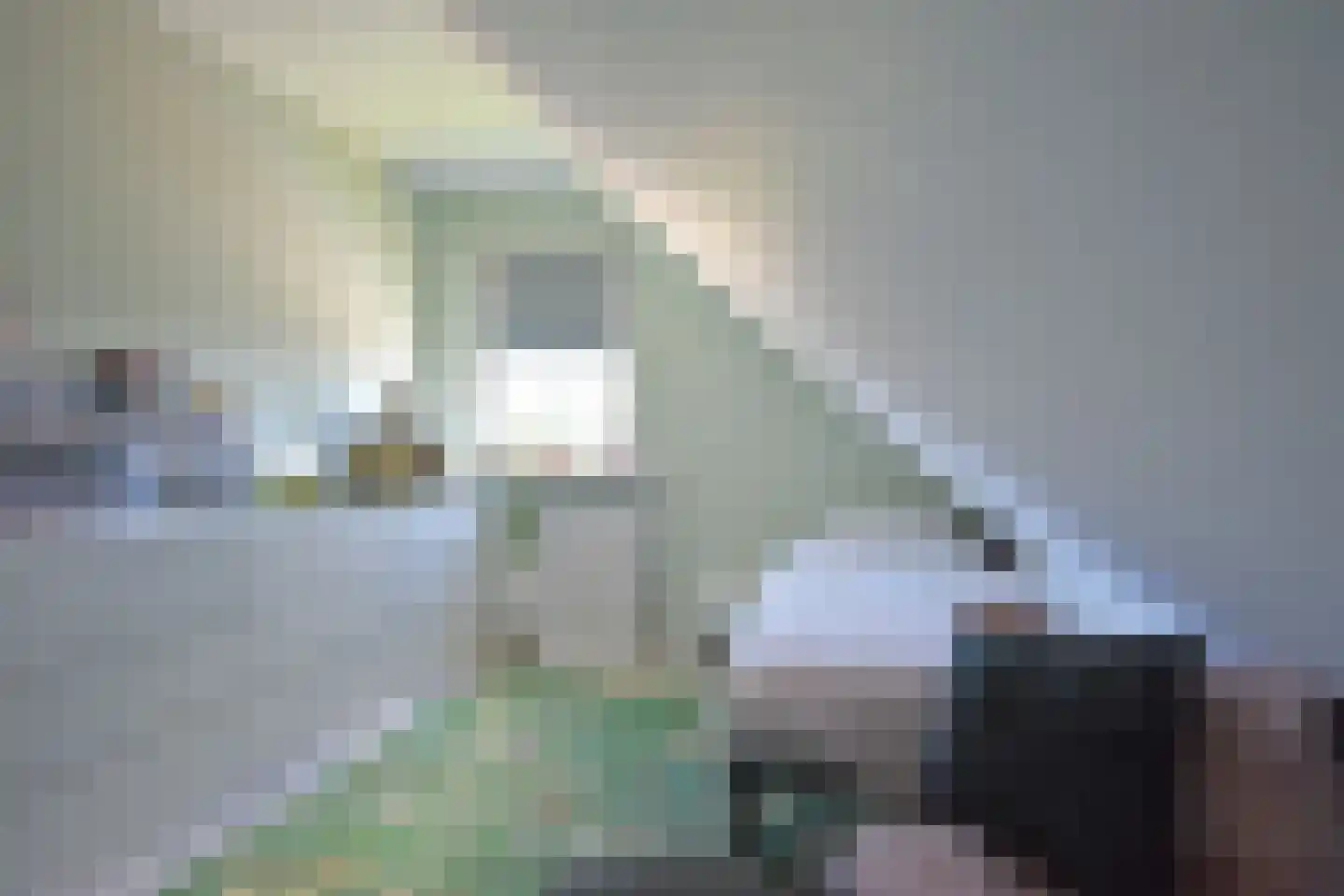 Bjirkewei 95 Twijzelerheide thumbnail 41