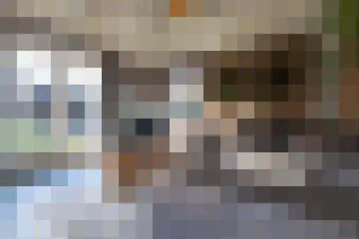 Bjirkewei 97 Twijzelerheide thumbnail 10