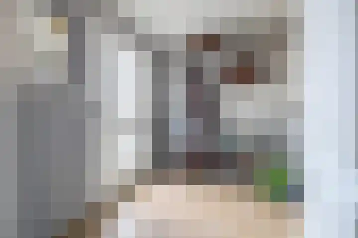 Bjirkewei 97 Twijzelerheide thumbnail 17