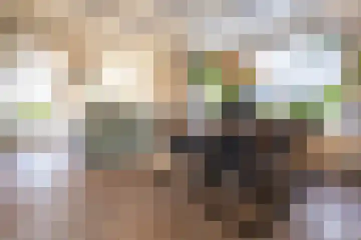 Bjirkewei 97 Twijzelerheide thumbnail 19