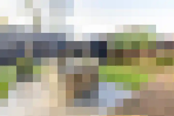 Bjirkewei 97 Twijzelerheide foto 2
