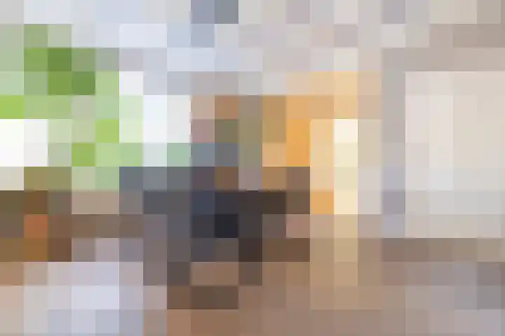 Bjirkewei 97 Twijzelerheide thumbnail 20