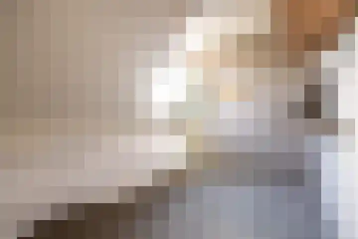 Bjirkewei 97 Twijzelerheide thumbnail 29