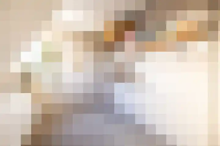 Bjirkewei 97 Twijzelerheide thumbnail 30