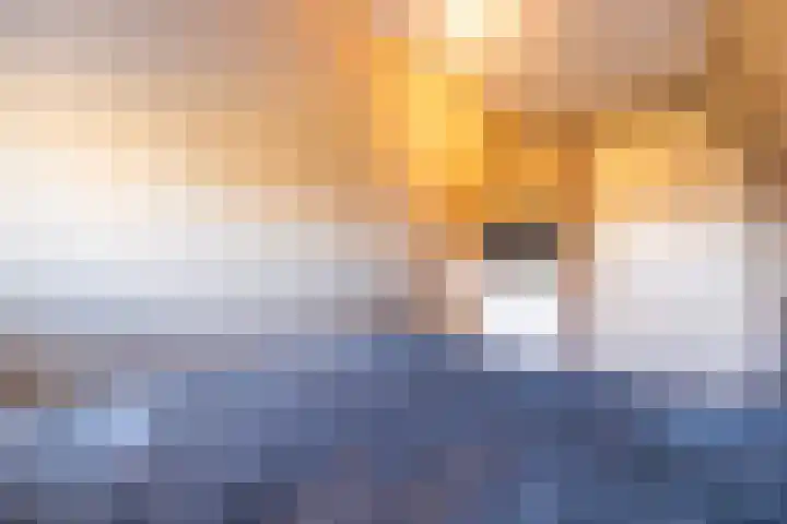 Bjirkewei 97 Twijzelerheide thumbnail 33