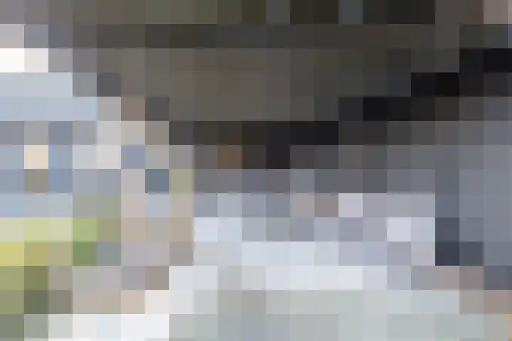 Bjirkewei 97 Twijzelerheide thumbnail 4