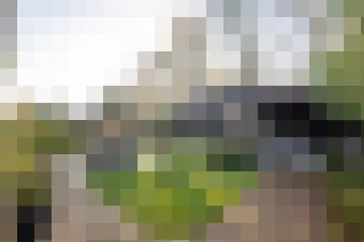 Bjirkewei 97 Twijzelerheide thumbnail 48