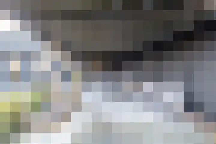 Bjirkewei 97 Twijzelerheide thumbnail 51