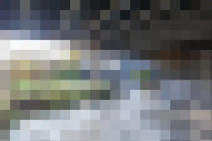 Bjirkewei 97 Twijzelerheide thumbnail 52