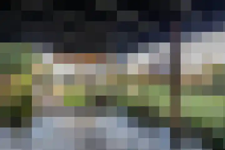 Bjirkewei 97 Twijzelerheide thumbnail 53
