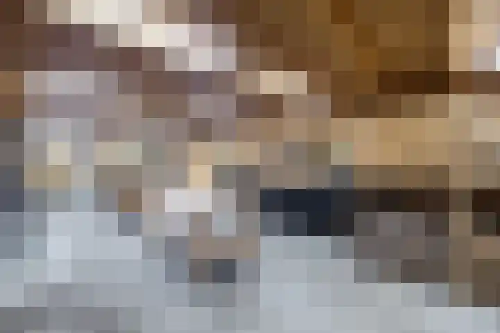 Bjirkewei 97 Twijzelerheide thumbnail 58