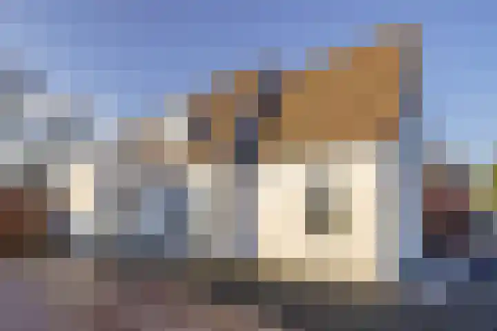 Bjirkewei 97 Twijzelerheide thumbnail 62