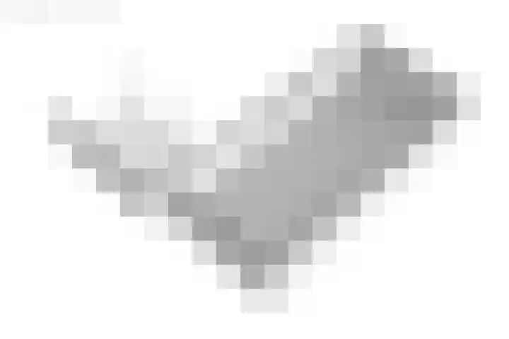 Bjirkewei 97 Twijzelerheide thumbnail 80