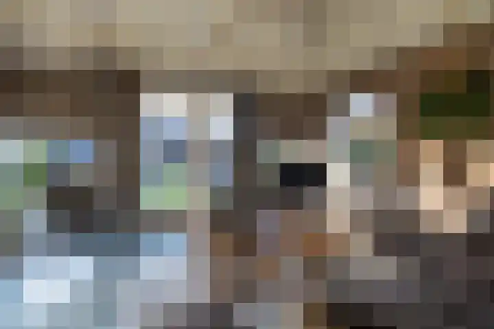 Bjirkewei 97 Twijzelerheide thumbnail 9
