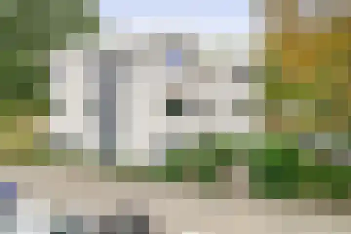 Björnsonweg 65 Rotterdam thumbnail 31