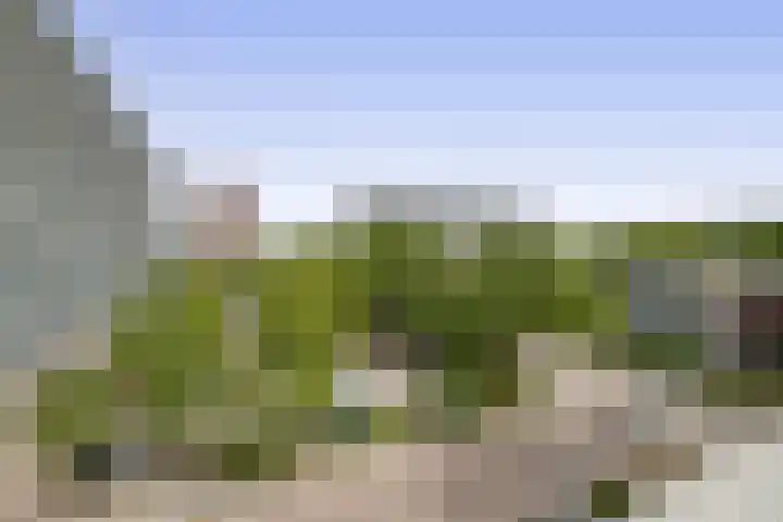 Björnsonweg 65 Rotterdam thumbnail 38