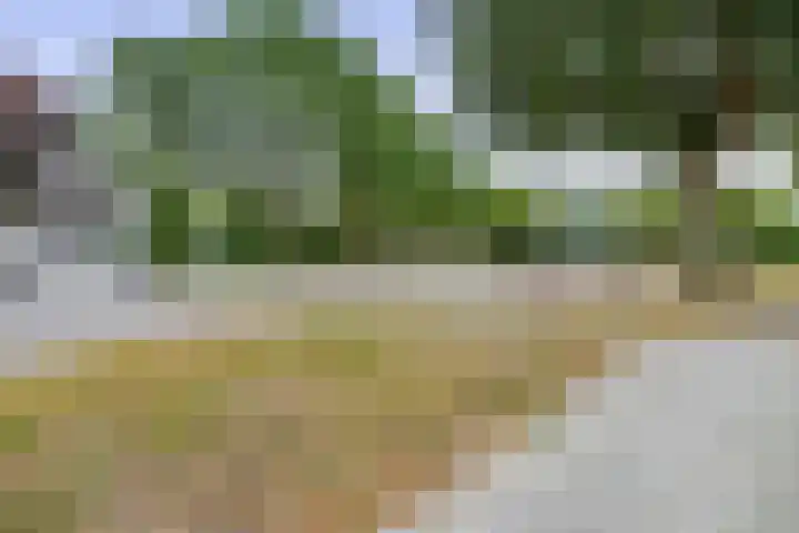 Björnsonweg 65 Rotterdam thumbnail 39