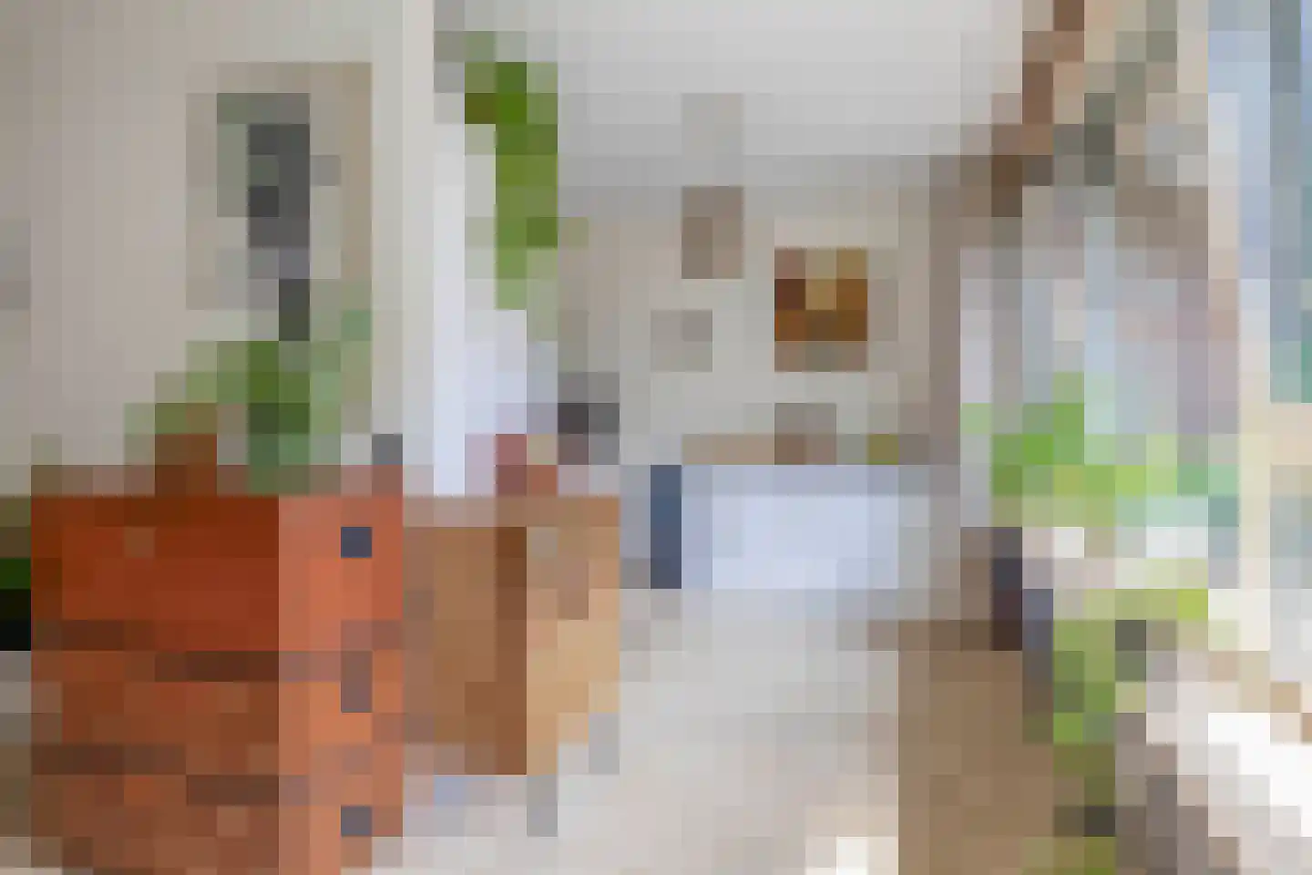 Blaak 223 Rotterdam thumbnail 19