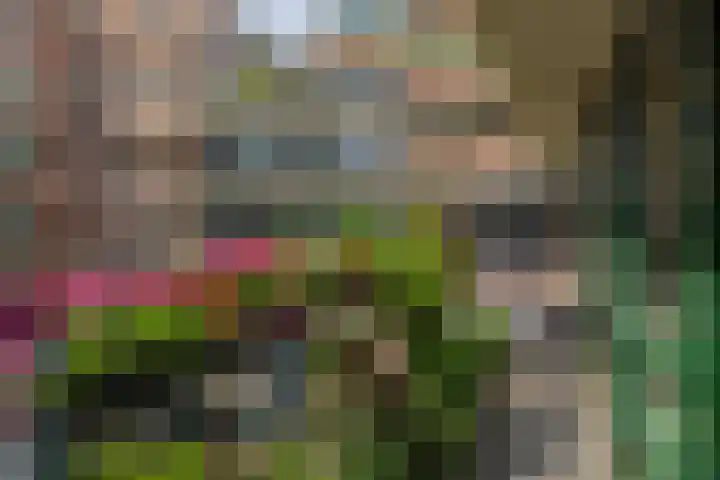 Blaak 223 Rotterdam thumbnail 25