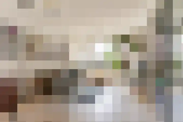 Blaak 263 Rotterdam thumbnail 13