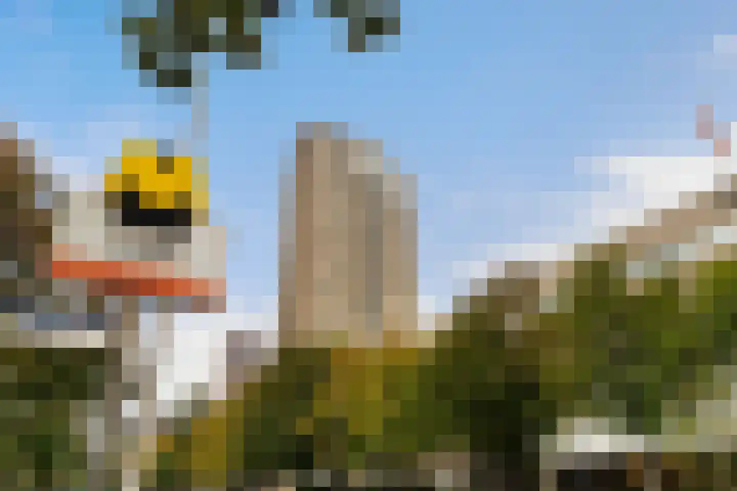 Blaak 738 Rotterdam thumbnail 36