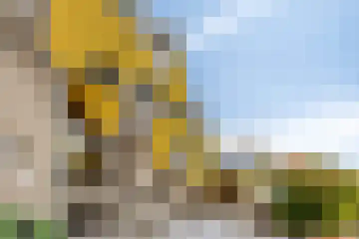 Blaak 97 Rotterdam thumbnail 7