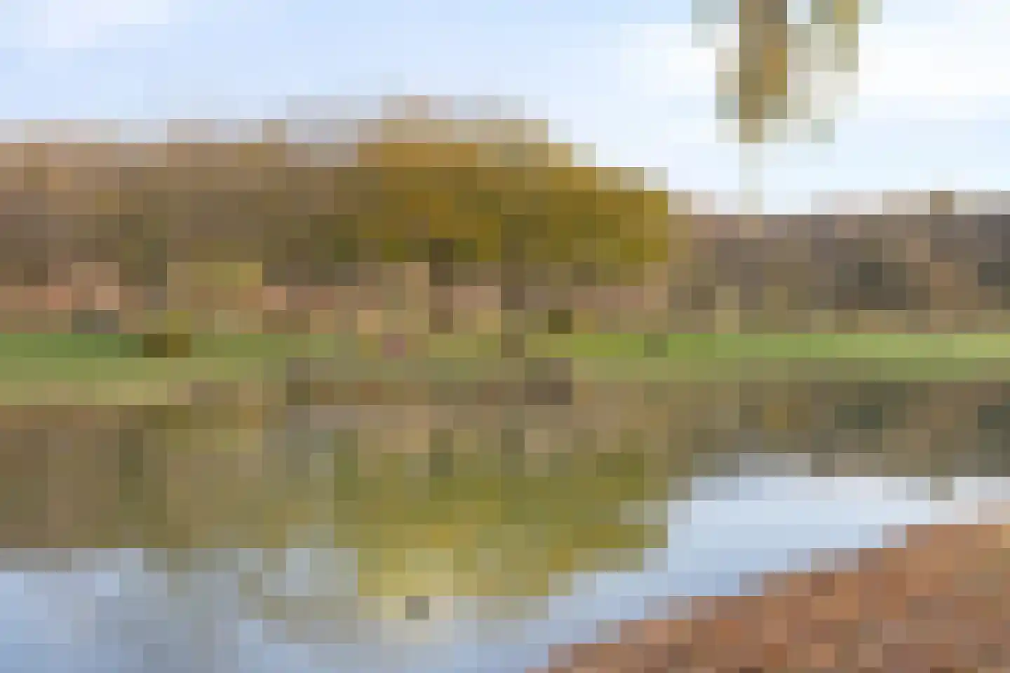 Blaakse Wetering 32 Poortugaal thumbnail 31