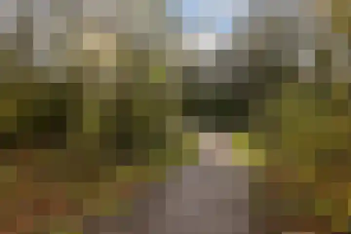 Blaakse Wetering 71 Poortugaal thumbnail 26