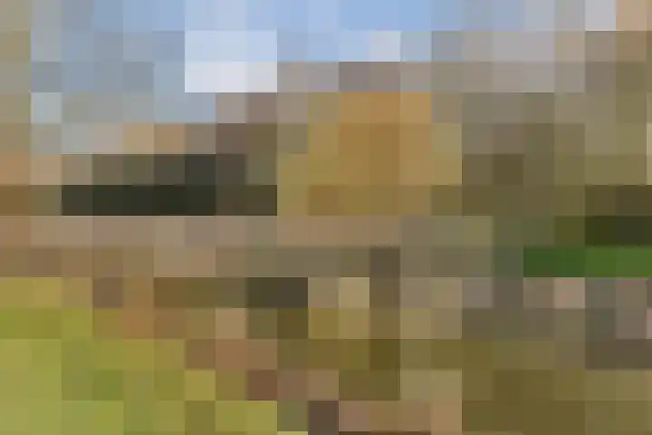Blaakse Wetering 71 Poortugaal thumbnail 27