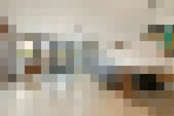 Blaakse Wetering 71 Poortugaal thumbnail 8