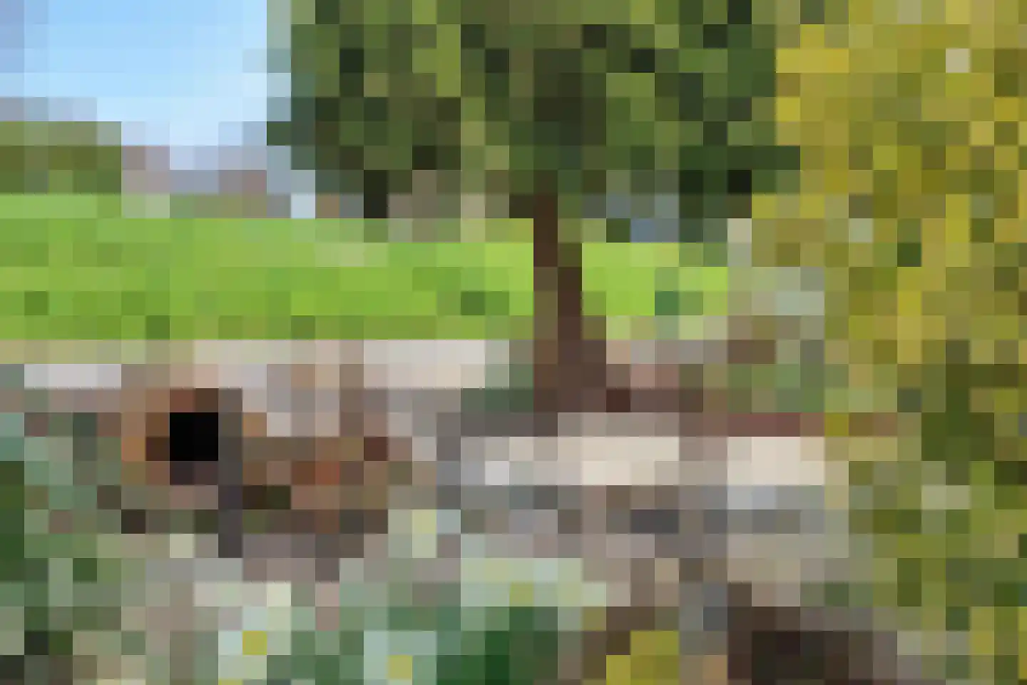 Blaaksedijk 204 Mijnsheerenland thumbnail 31