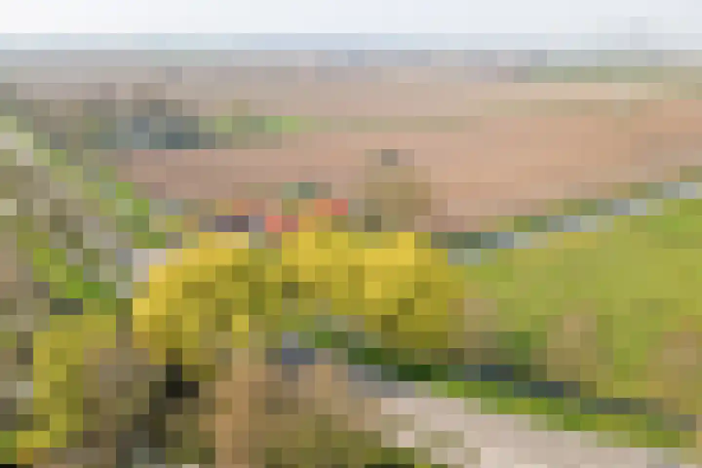 Blaaksedijk 204 Mijnsheerenland thumbnail 35