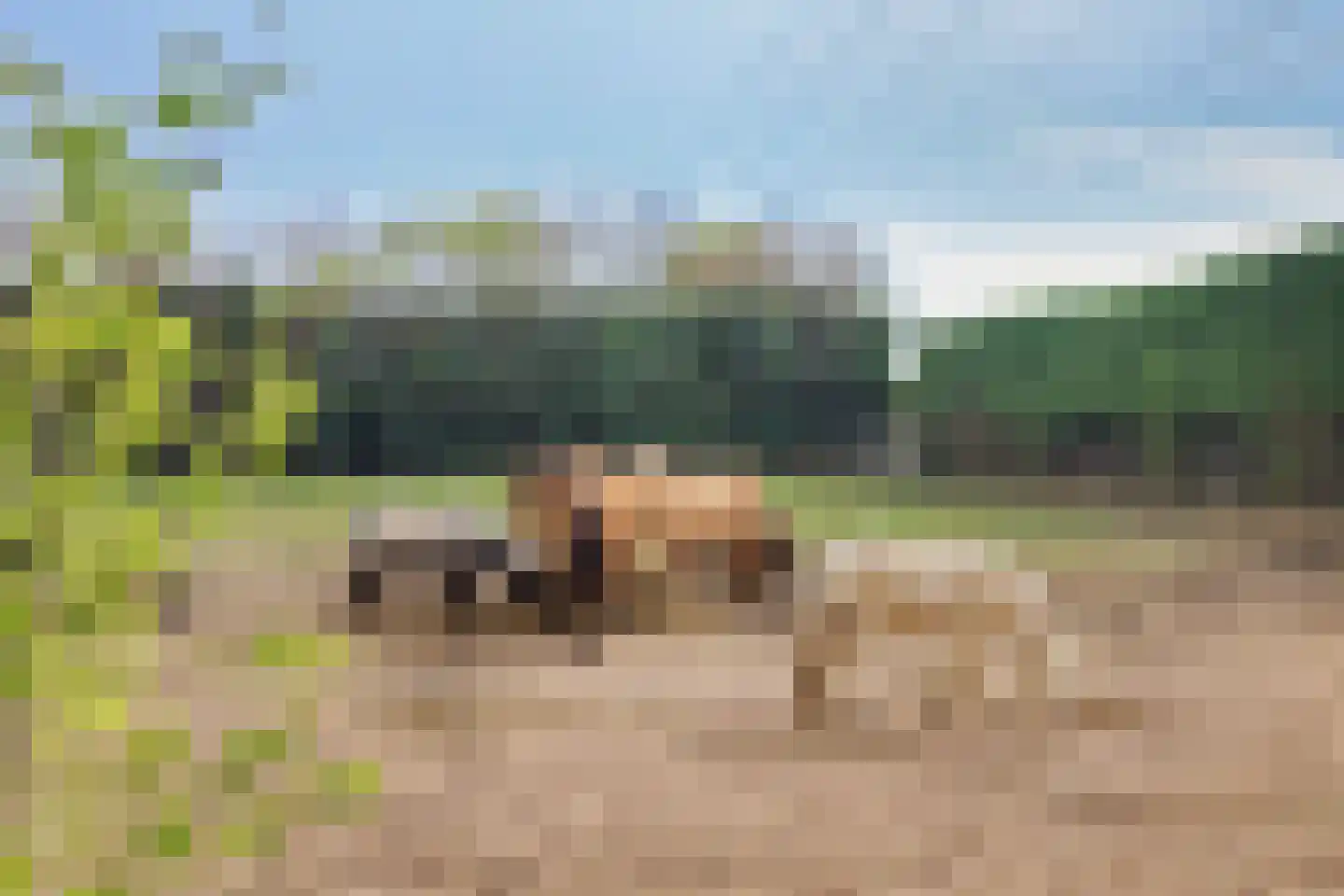 Blaaksedijk 204 Mijnsheerenland thumbnail 37
