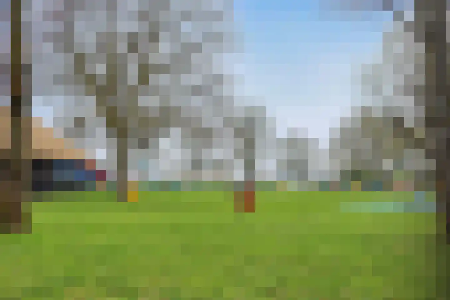 Blaaksedijk 204 Mijnsheerenland thumbnail 38