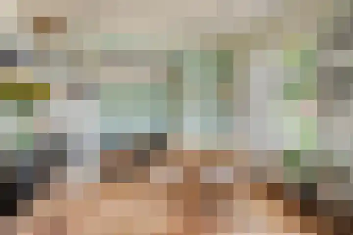 Blaaksedijk 26 Fijnaart thumbnail 11