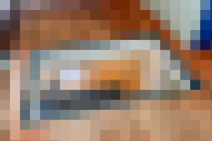 Blaaksedijk 26 Fijnaart thumbnail 16
