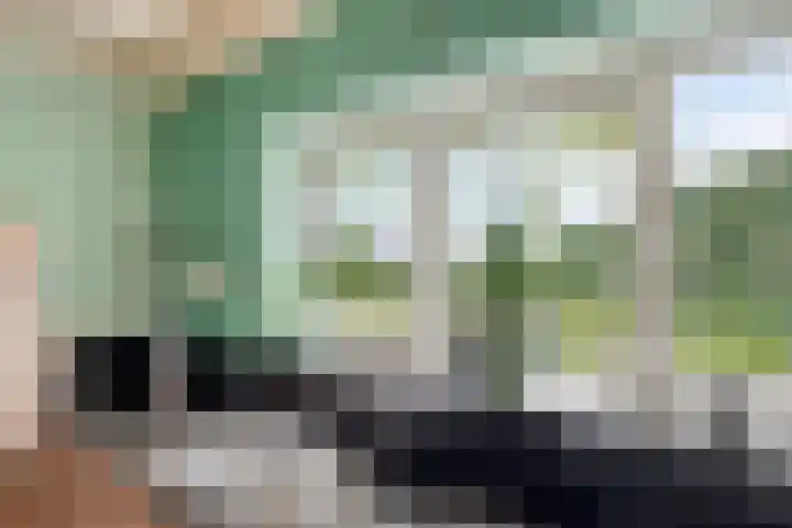 Blaaksedijk 26 Fijnaart thumbnail 17