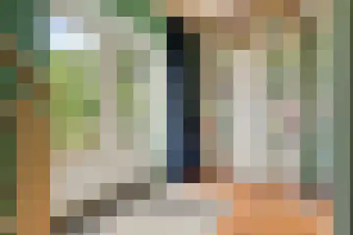 Blaaksedijk 26 Fijnaart thumbnail 18