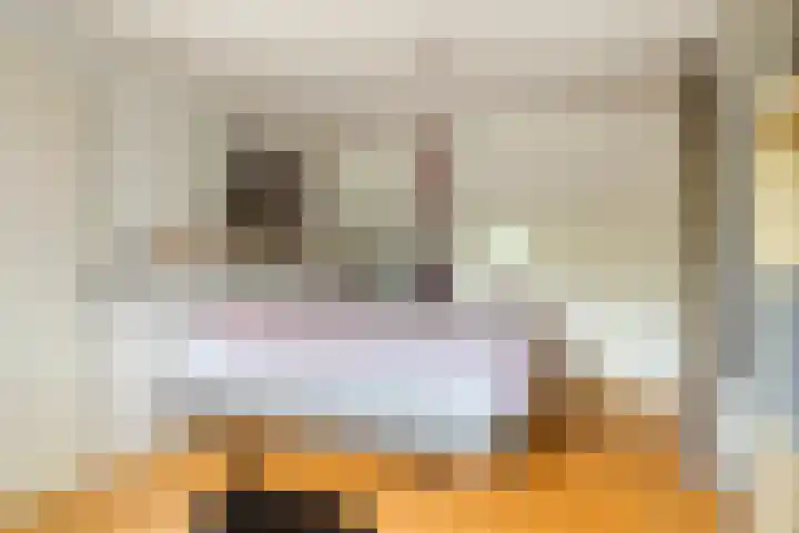 Blaaksedijk 26 Fijnaart thumbnail 23