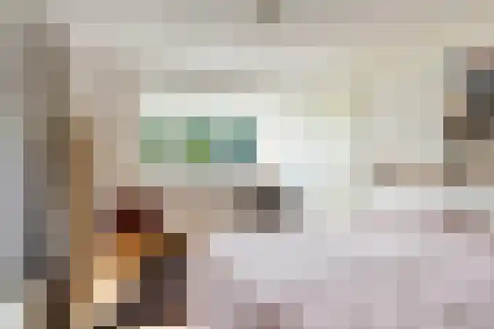 Blaaksedijk 26 Fijnaart thumbnail 24