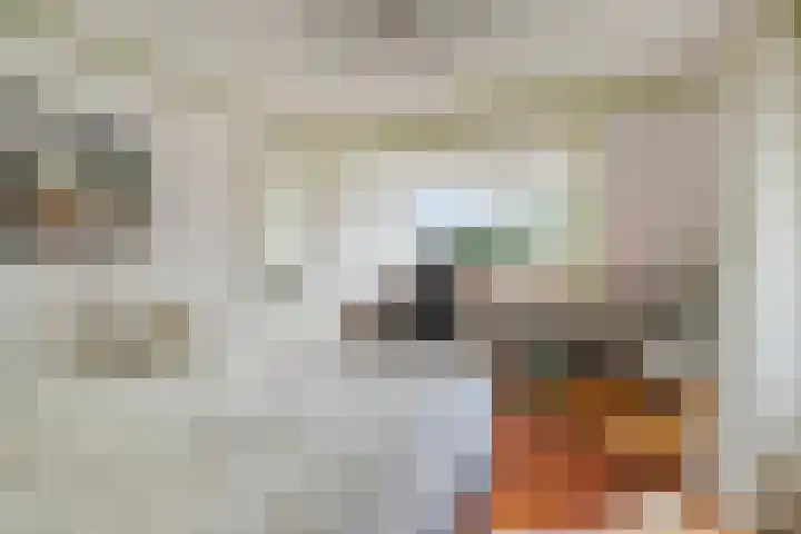 Blaaksedijk 26 Fijnaart thumbnail 27