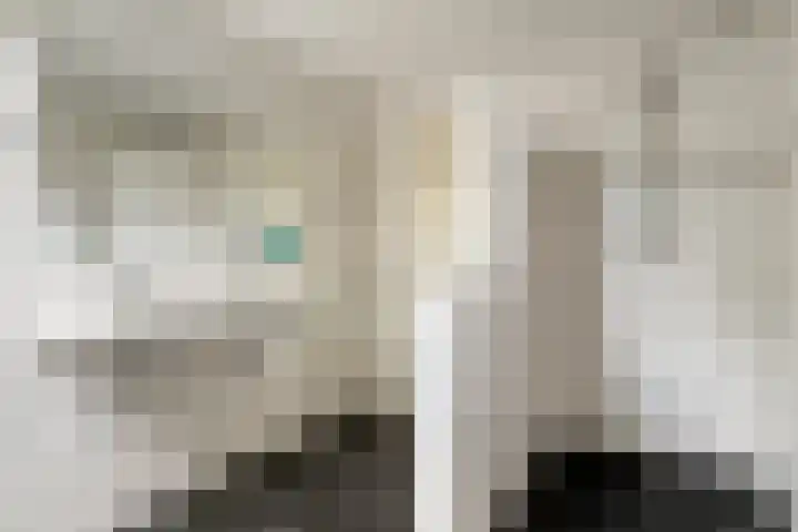 Blaaksedijk 26 Fijnaart thumbnail 28