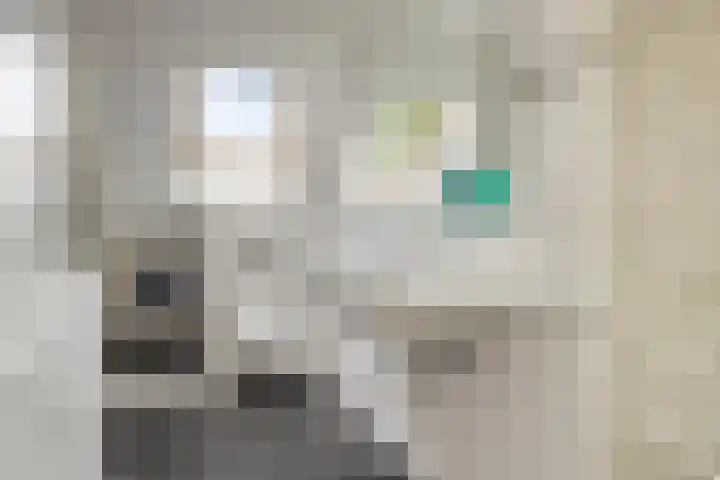 Blaaksedijk 26 Fijnaart thumbnail 29