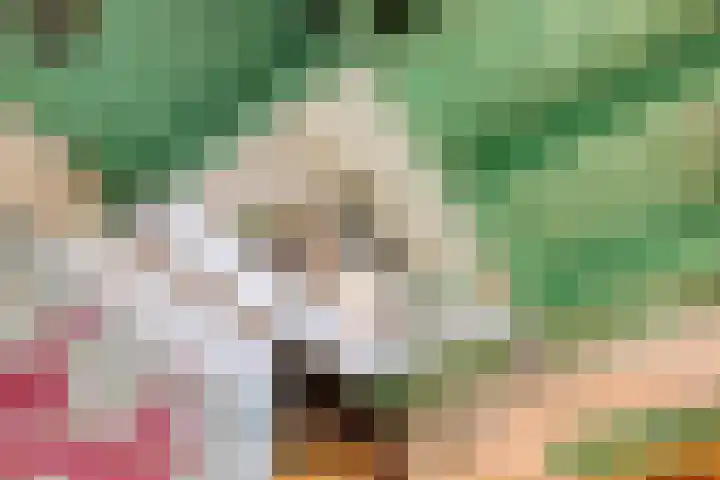 Blaaksedijk 26 Fijnaart thumbnail 31